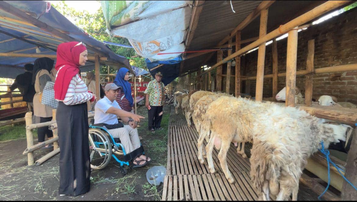 Kisah Penyandang Disabilitas di Bantul Jadi Marketing Jualan Hewan Kurban