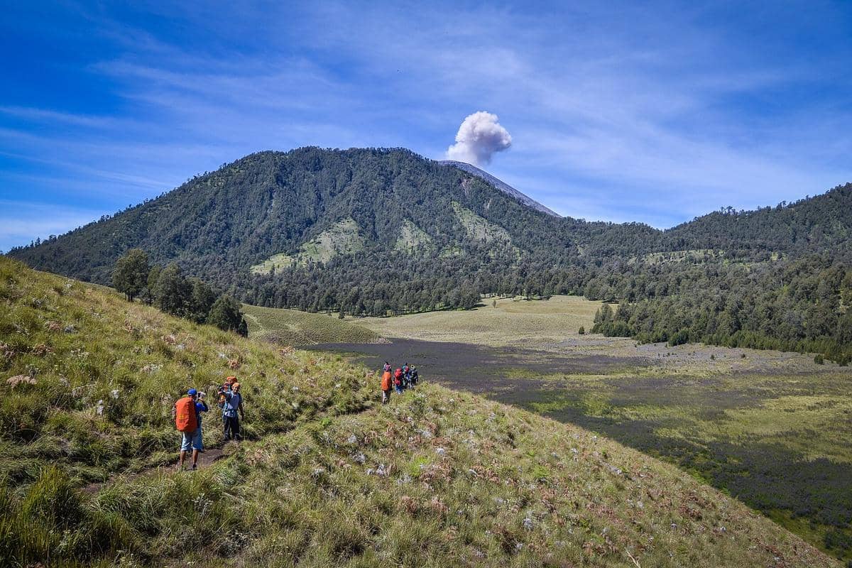 Hamparan padang rumput Oro-Oro Ombo dengan latar pegunungan hijau dan kepulan asap dari puncak gunung di bawah langit biru cerah.