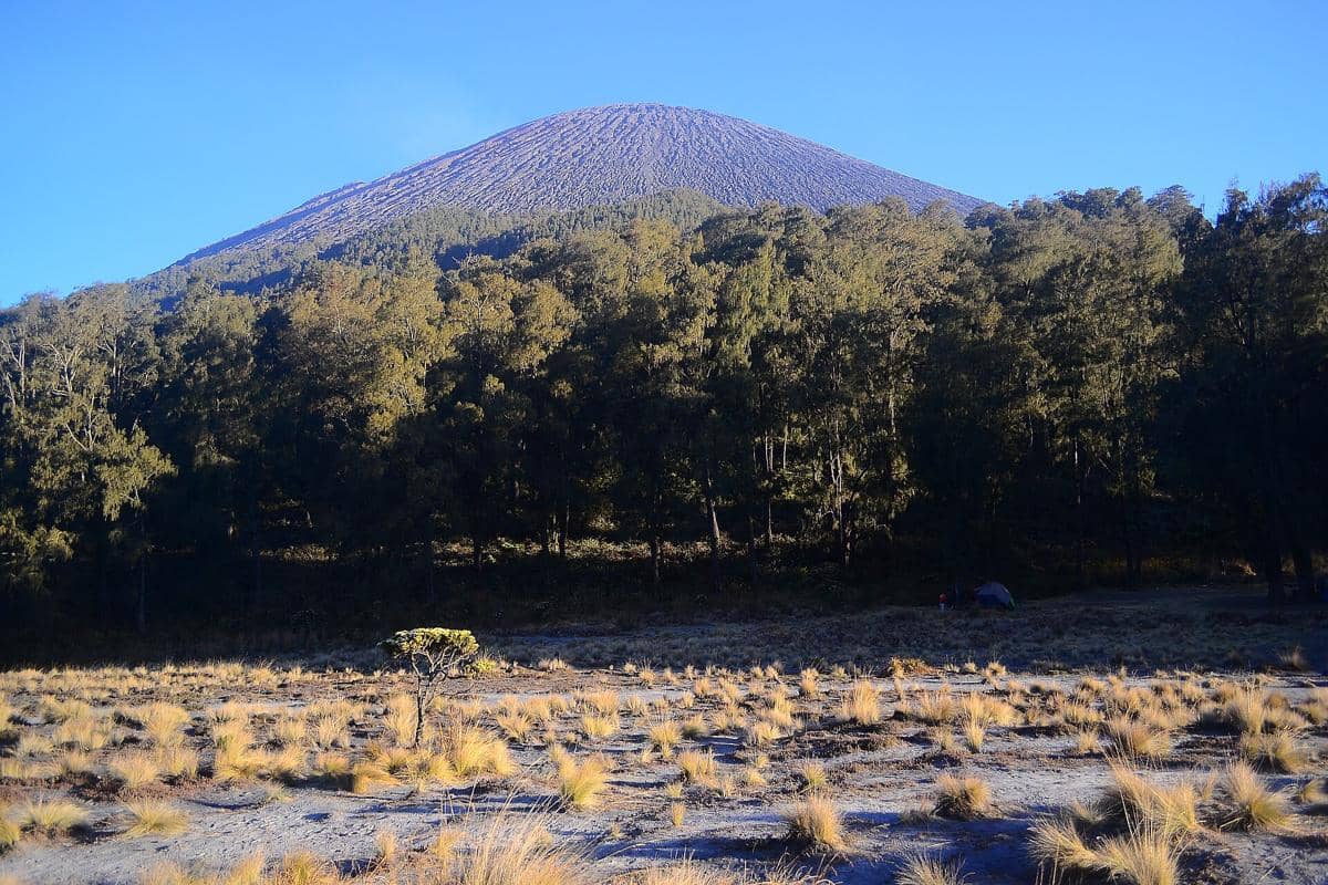Pemandangan Puncak Mahameru dengan lereng gunung yang hijau dan padang rumput kering di bawah langit biru cerah.