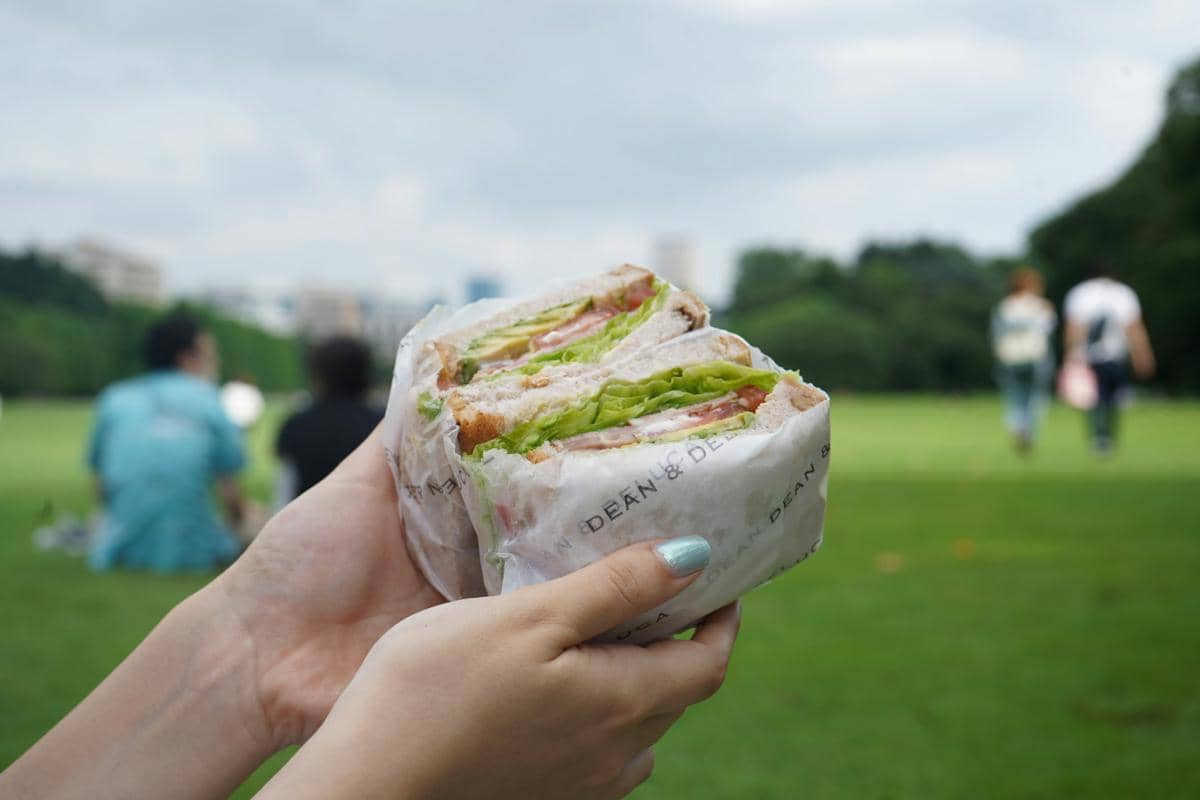 ilustrasi sandwich isi alpukat