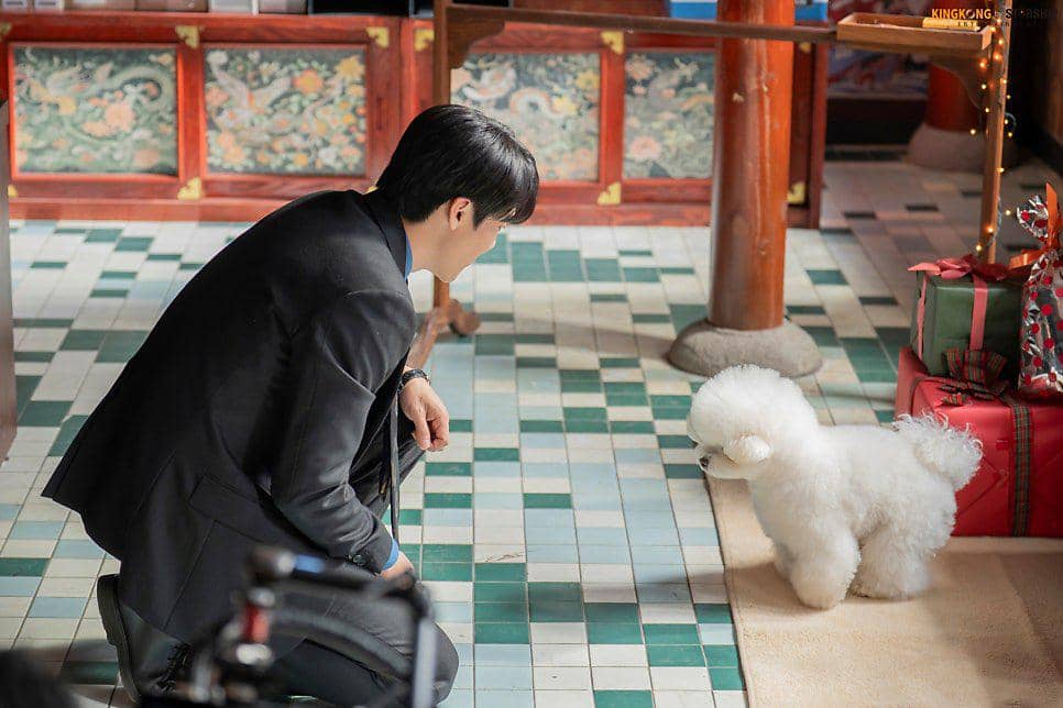 Yoo Yeon Seok di Phantom Lawyer