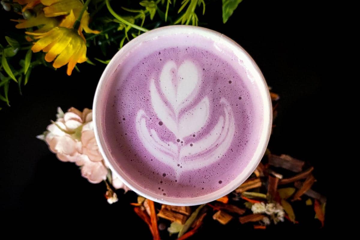 5 Fakta Ube yang Diprediksi akan Menggeser Matcha!