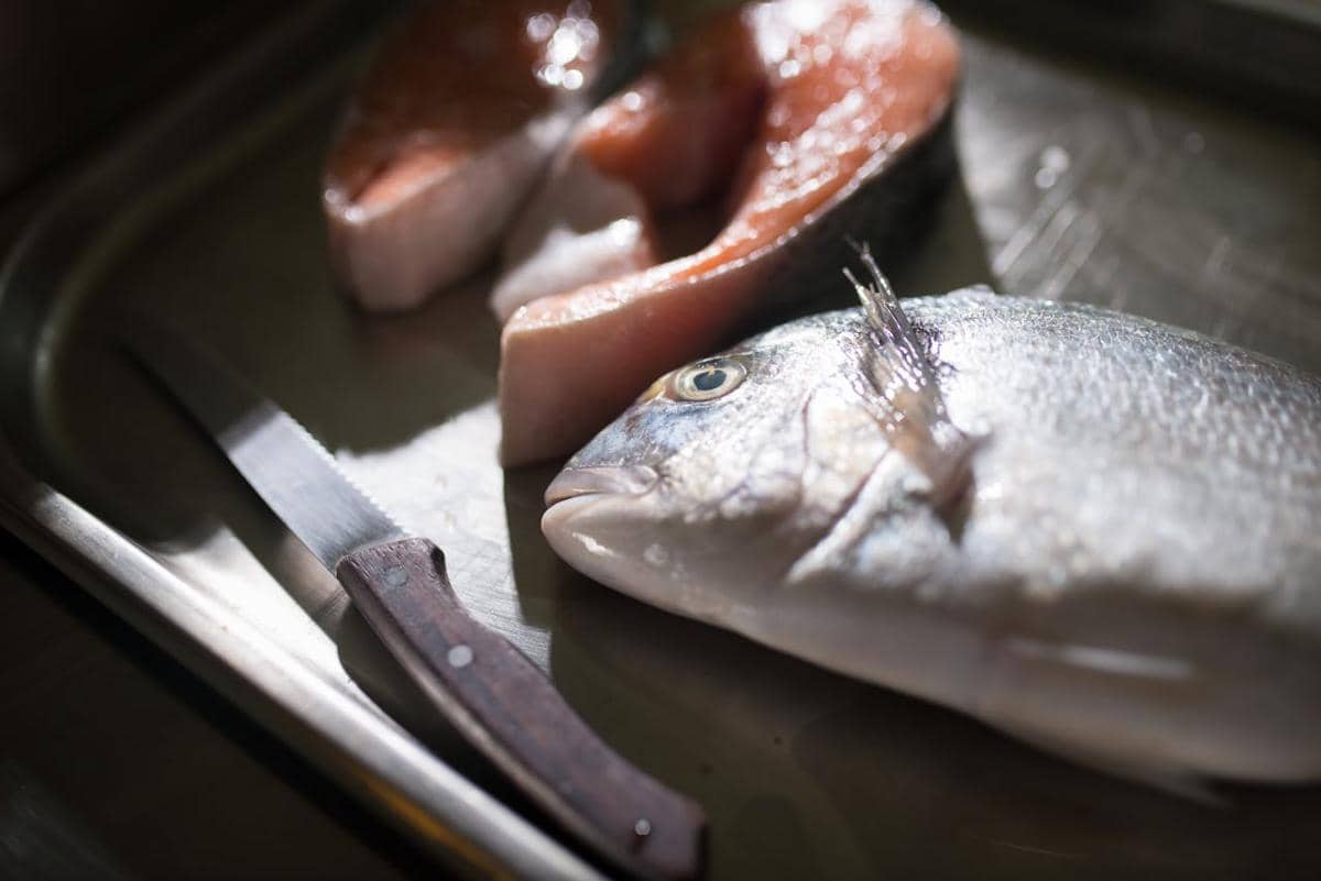 ilustrasi ikan bawal 