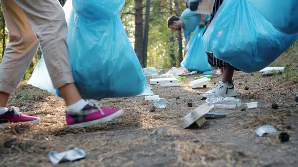 ilustrasi memungut sampah di area camping