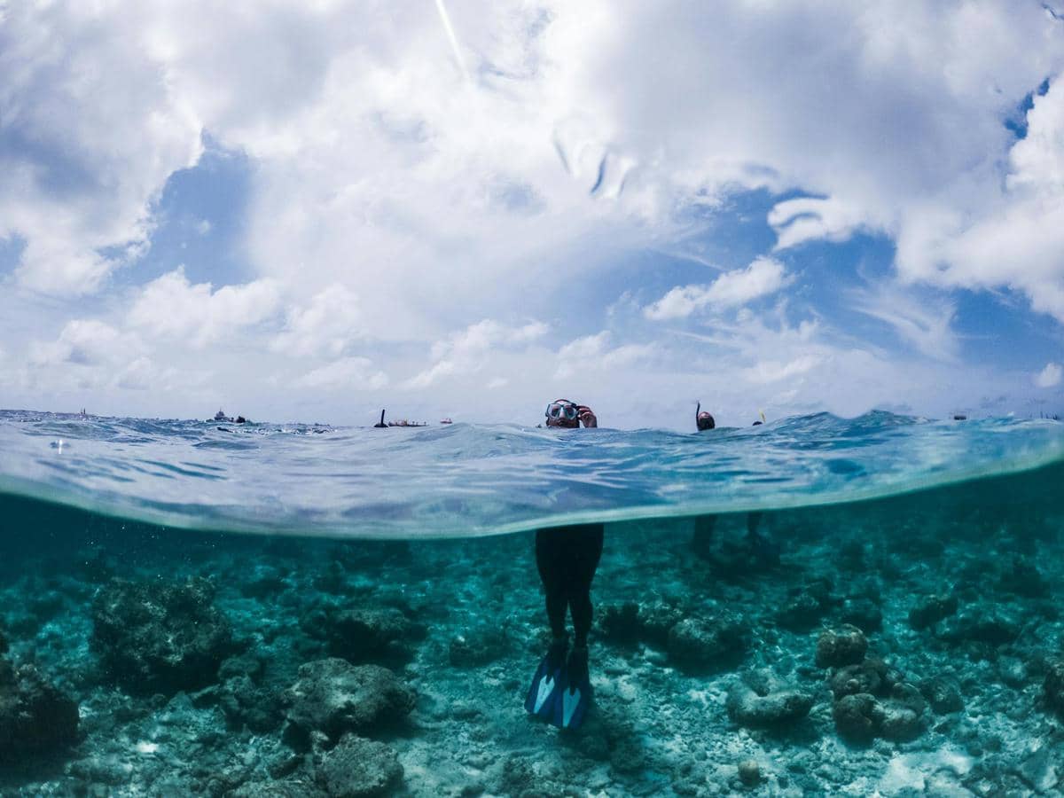 Potret snorkeling di Maldives