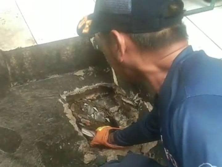 Ular Besar Sumbat Drainase, Permukiman di Tangerang Mendadak Banjir