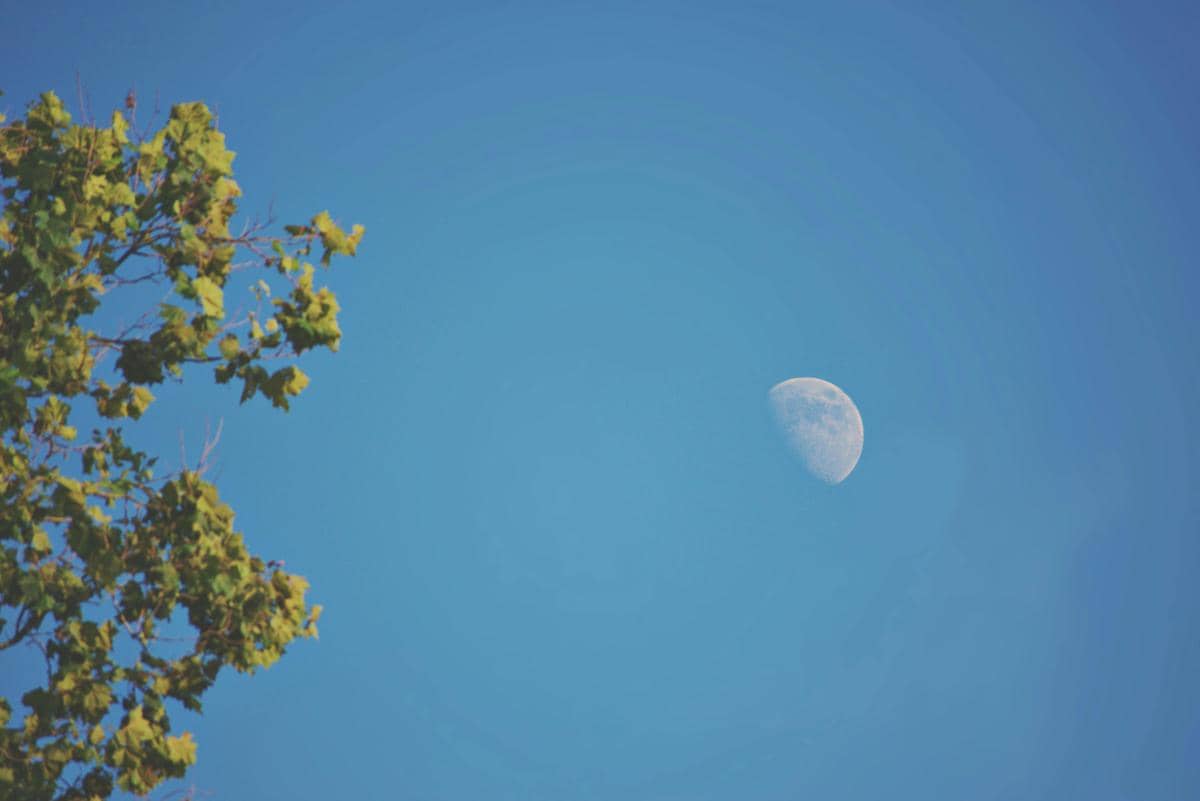 Bulan di siang hari