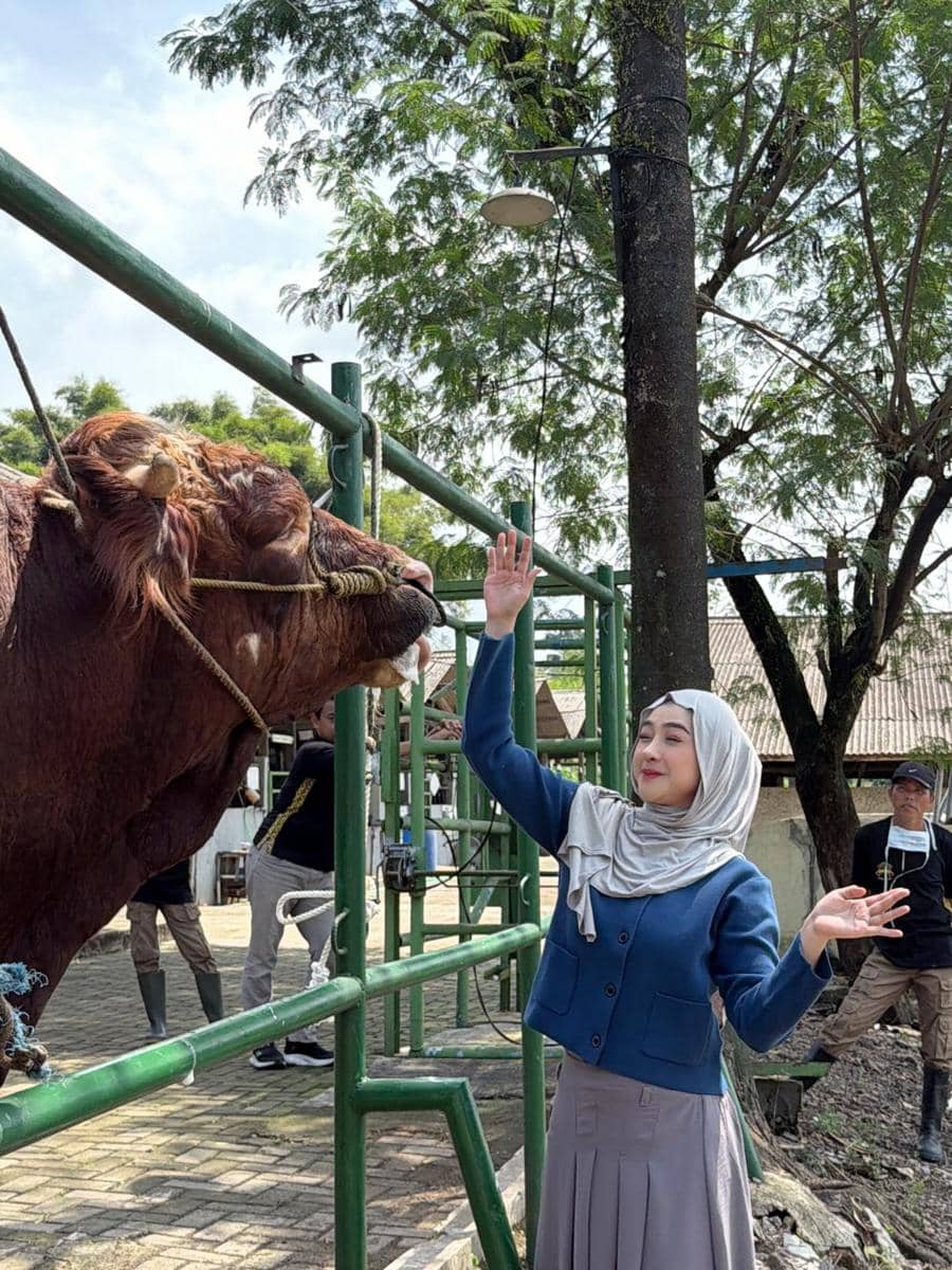 RIa Ricis berburu hewan kurban untuk Idul Adha