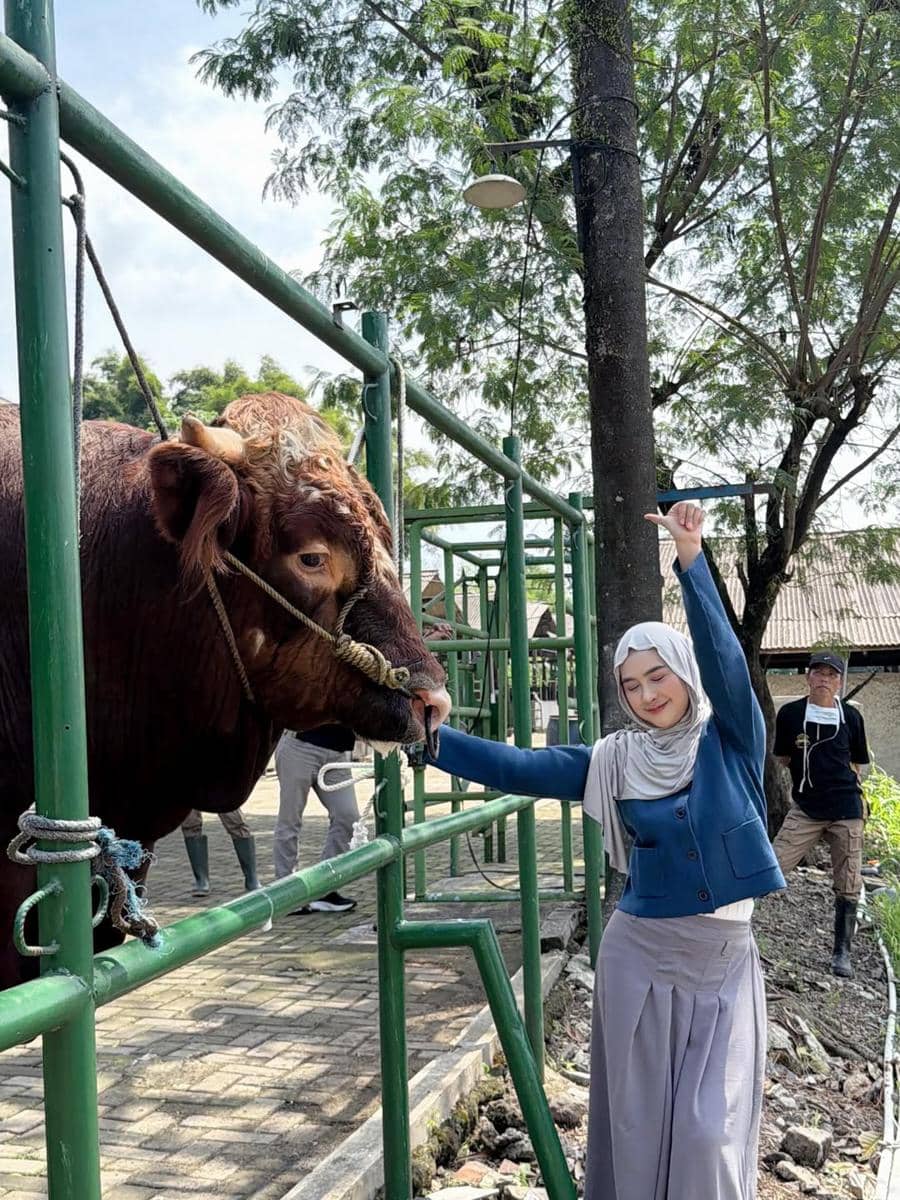 RIa Ricis berburu hewan kurban untuk Idul Adha