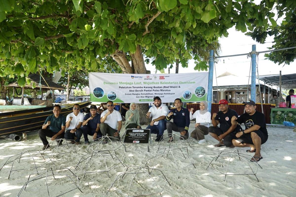 PT Berau Coal bersama sejumlah mitra menggelar transplantasi terumbu karang di perairan Pulau Maratua.
