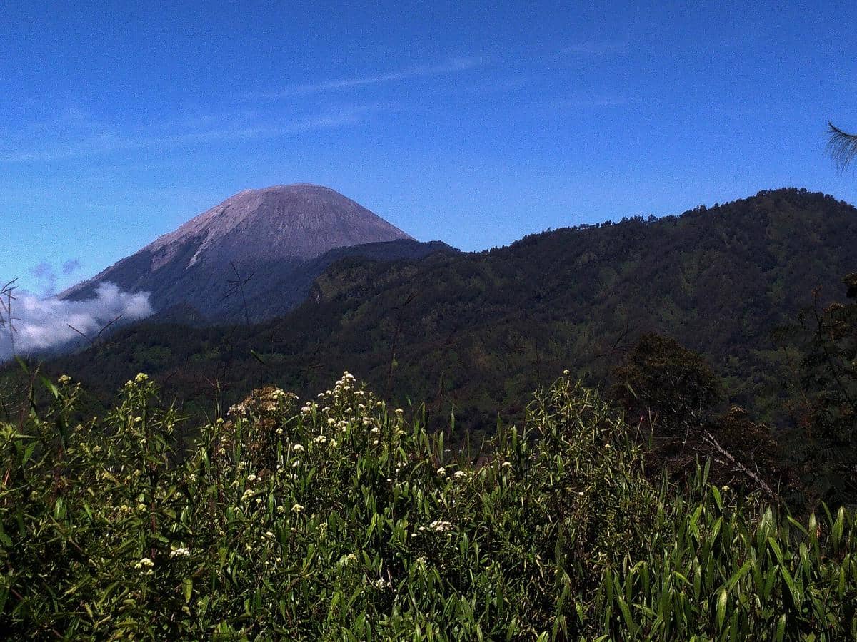 Potret Gunung Semeru