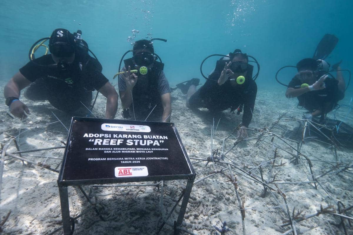 Aksi Nyata Selamatkan Laut Berau, Terumbu Karang Ditanam di Maratua