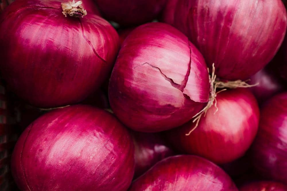 ilustrasi bawang merah