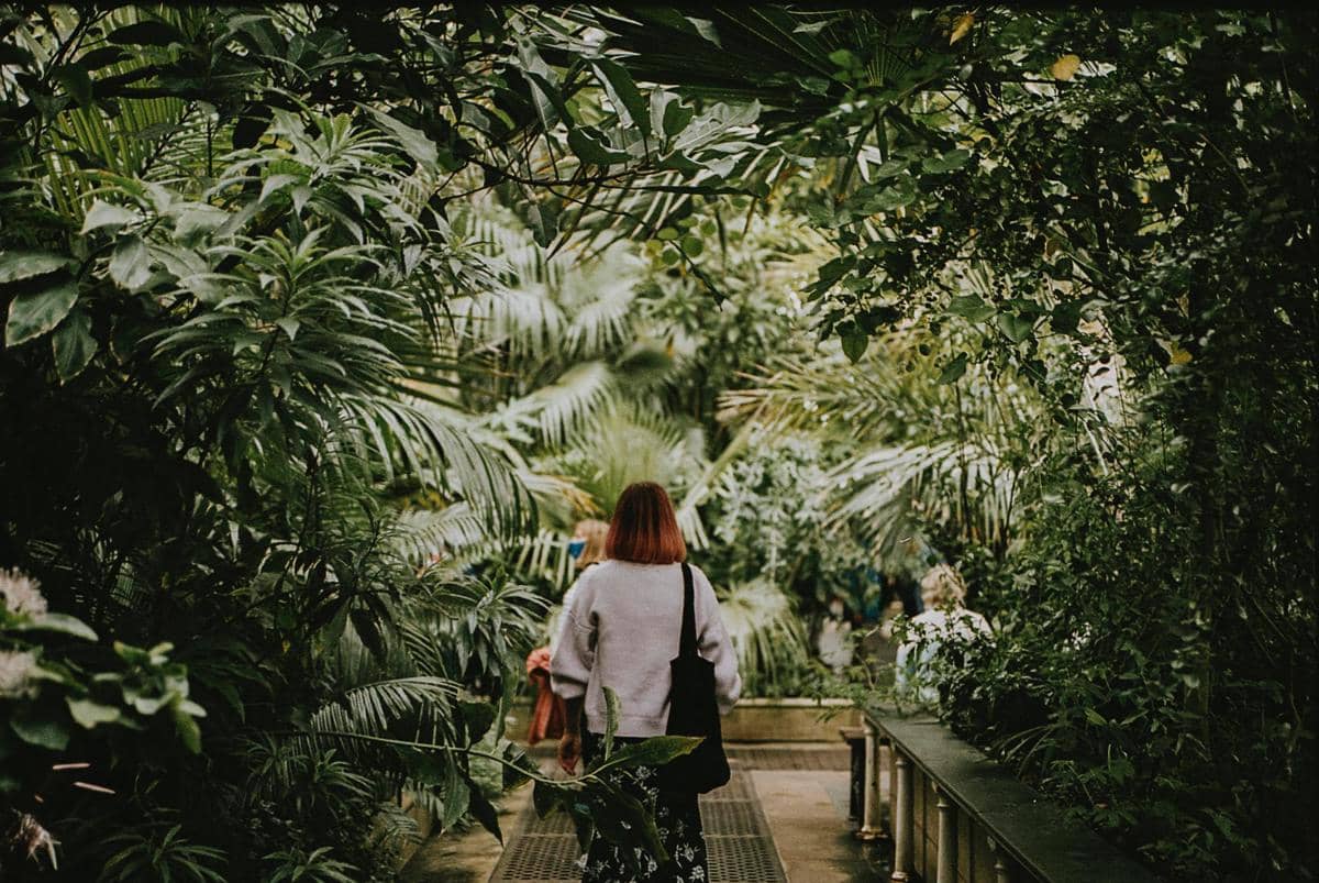 6 Spot Menarik di Singapore Botanical Garden, Wajib Kamu Kunjungi!