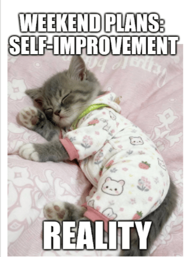 meme kucing tentang akhir pekan