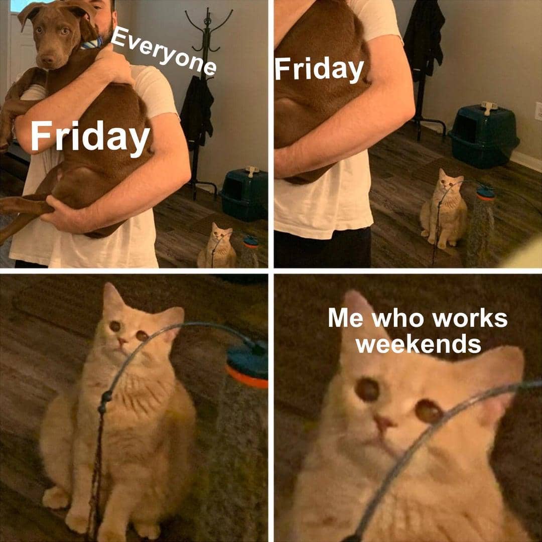 meme kucing tentang akhir pekan