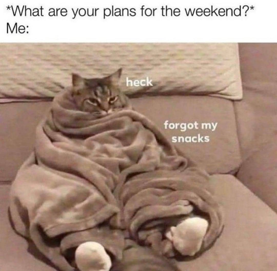 meme kucing tentang akhir pekan