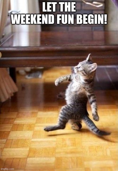 meme kucing tentang akhir pekan