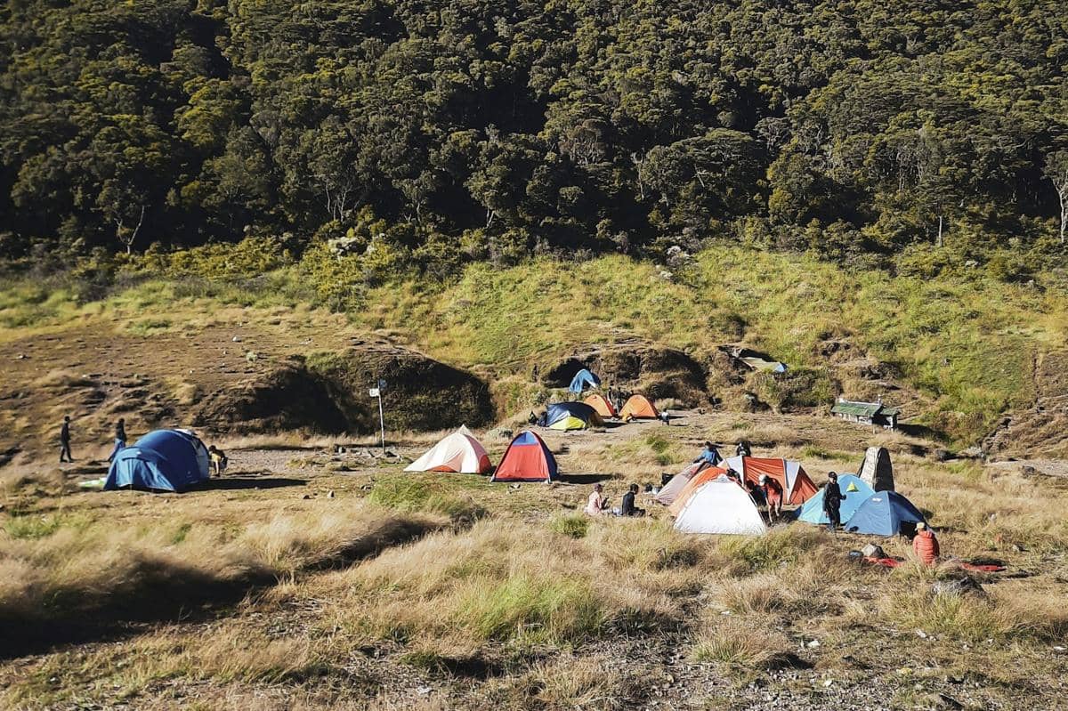 ilustrasi tenda di Gunung Gede Pangrango