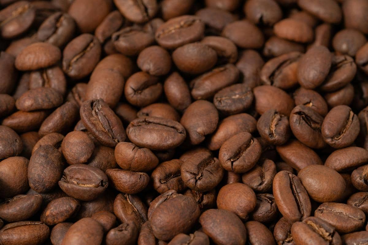 ilustrasi single origin