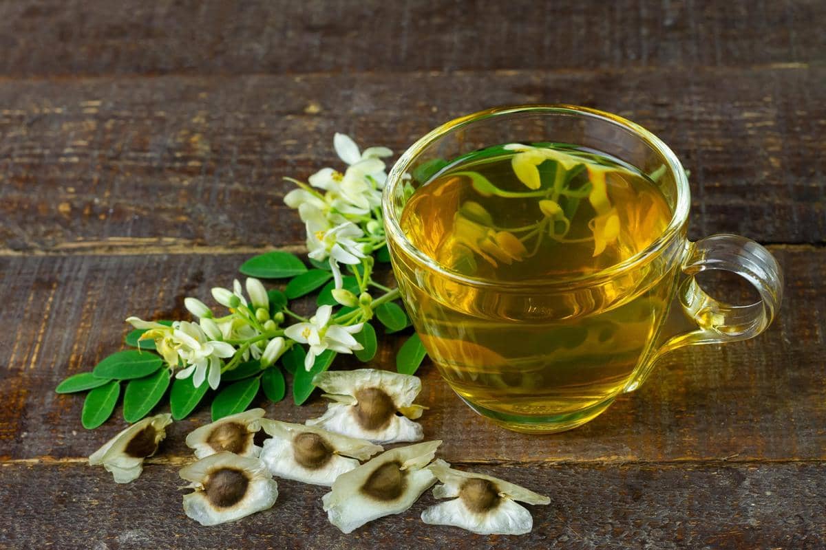 Rahasia Awet Muda Alami, Rutin Minum Air Rebusan Daun Ini Tiap Pagi!