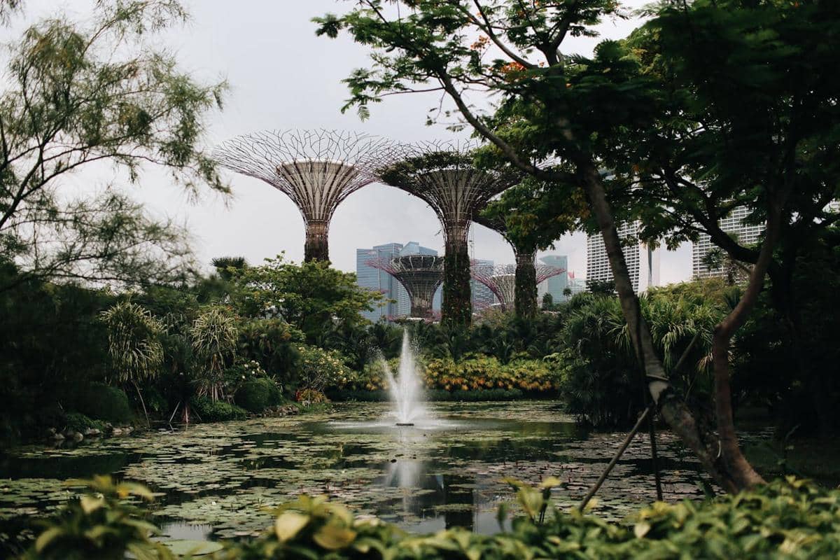 ilustrasi Ginger Garden
