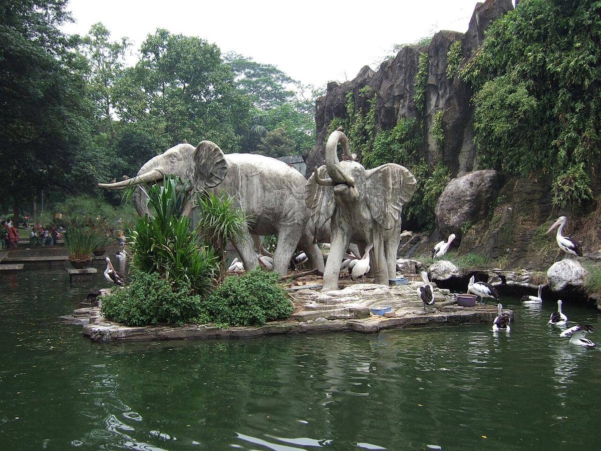 Kebun Binatang Ragunan