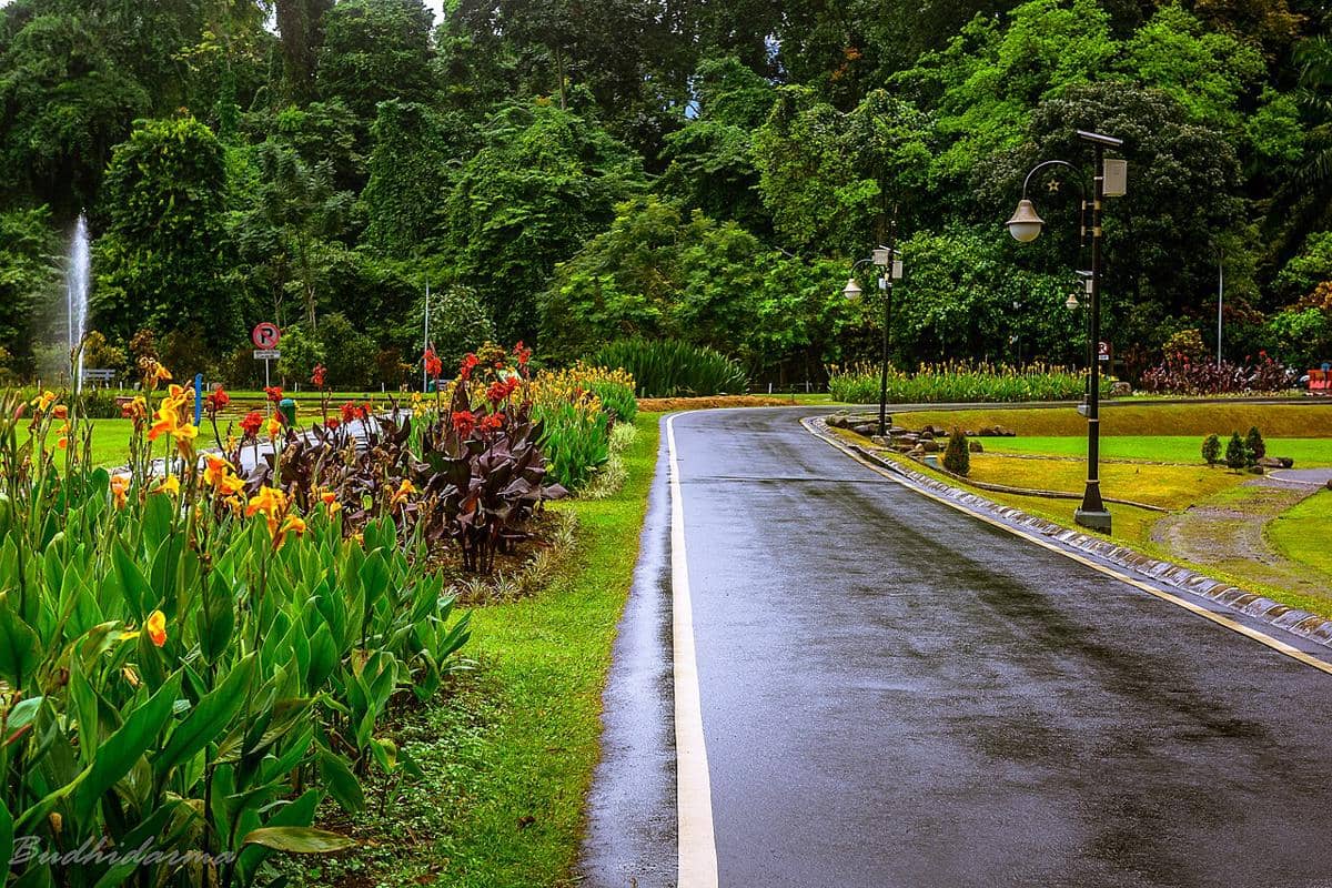 Kebun Raya Bogor