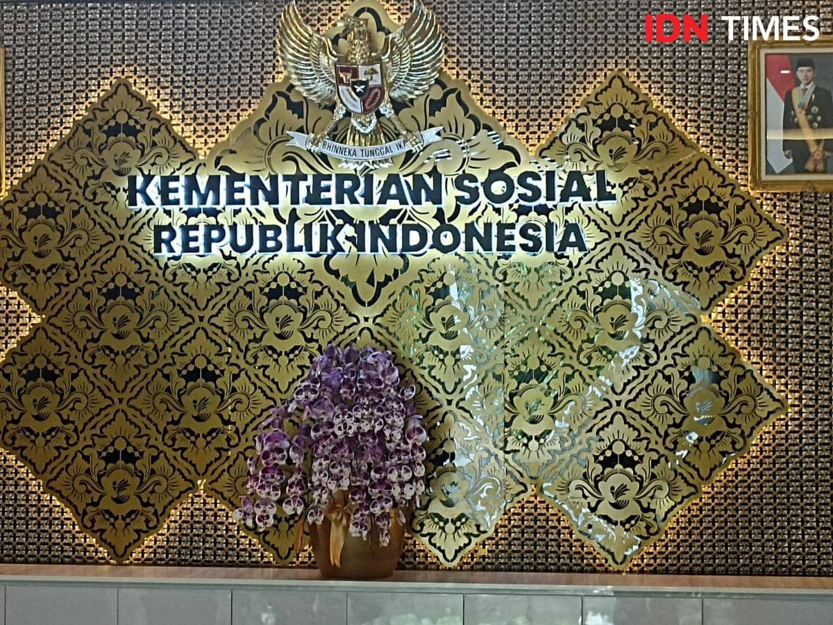 Kemensos Anggarkan Rp60 Juta untuk Sewa Tanaman Hias, Rp1 Juta Per Unit