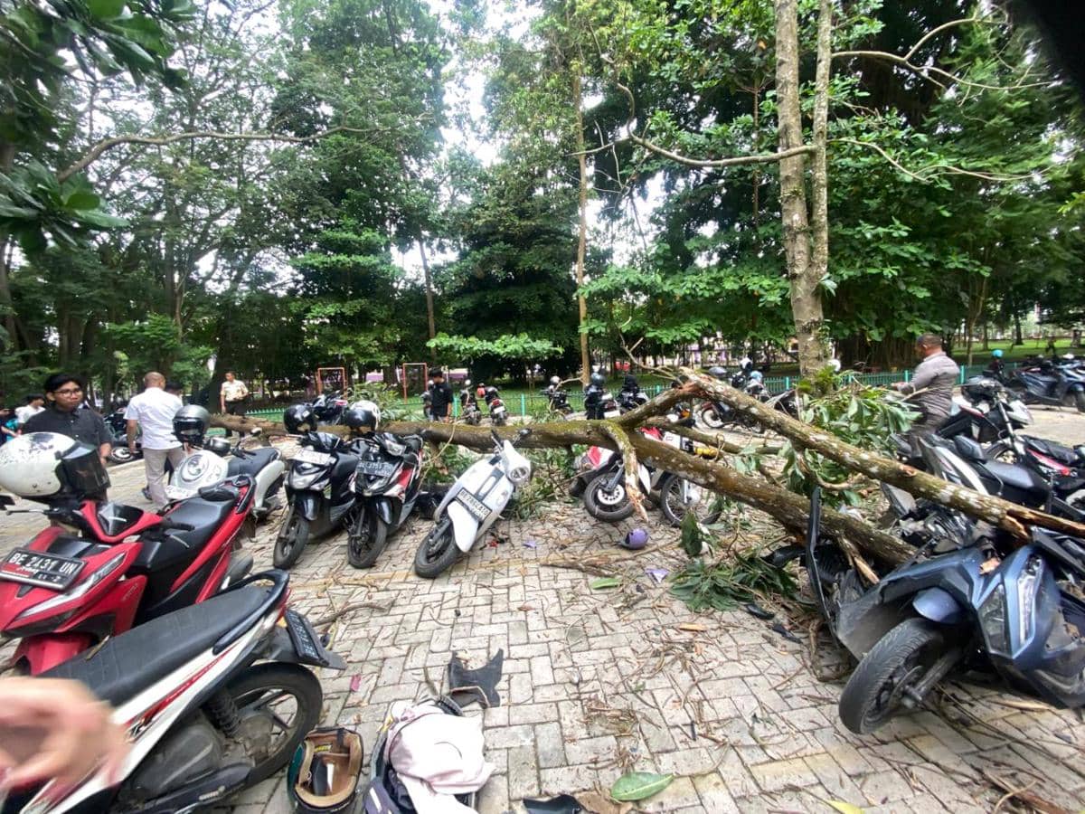 8 Motor Mahasiswa Rusak Ditimpa Pohon Tumbang, Unila Beri Bantuan?