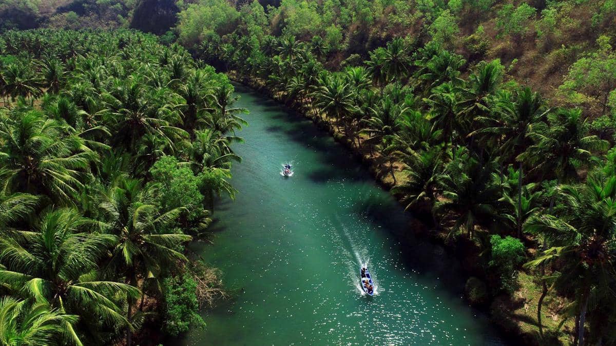 Pemandangan sungai tropis di Pulau Jawa