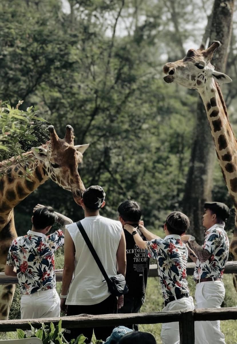 AAA Clan ke Taman Safari