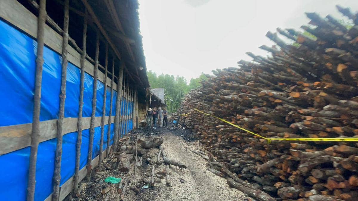 Polda Riau Ungkap Perusakan Mangrove di Meranti