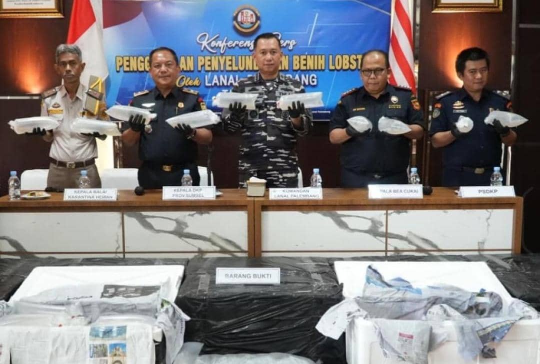 Dikejar TNI AL, Penyelundup Ribuan Benur Lolos Masuk Hutan Bakau Jambi