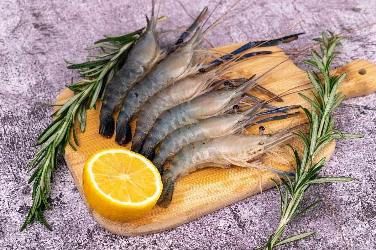 5 Tips Menyimpan Udang di Kulkas agar Tahan Lama dan Tetap Segar