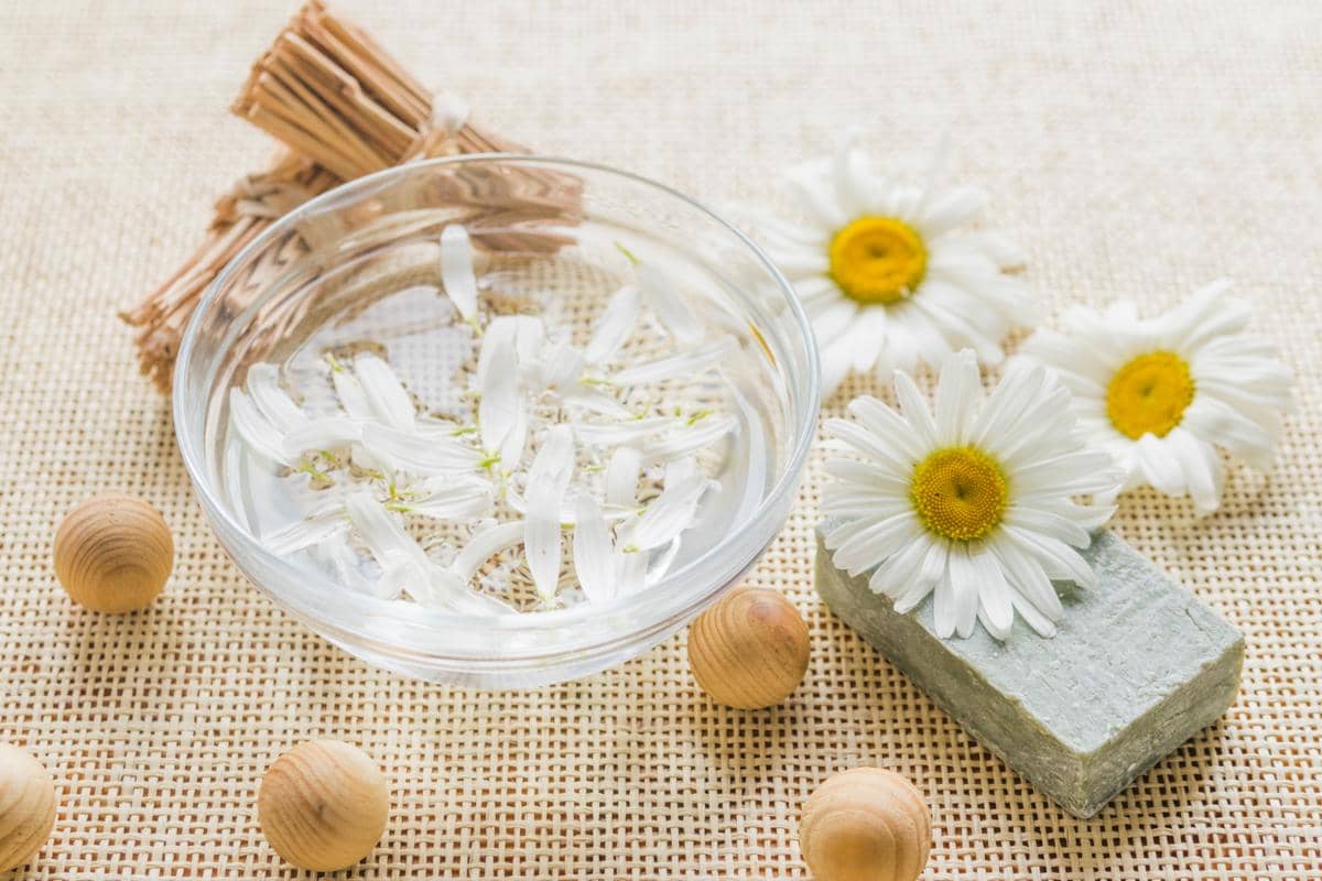 ilustrasi aroma chamomile
