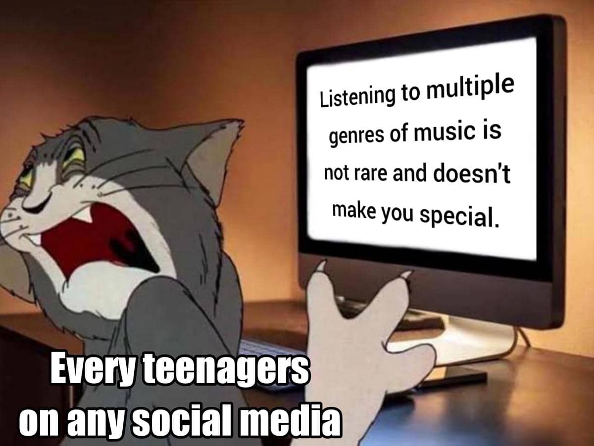 meme kartun tentang selera musik