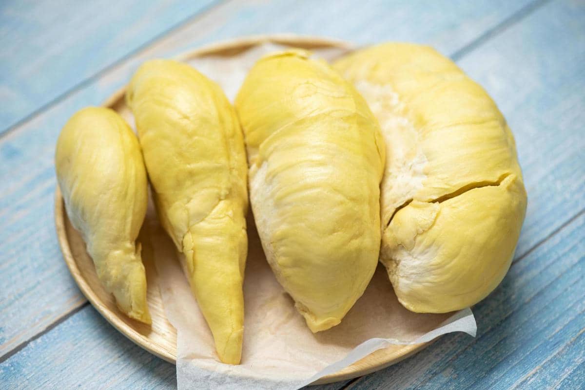 ilustrasi durian 