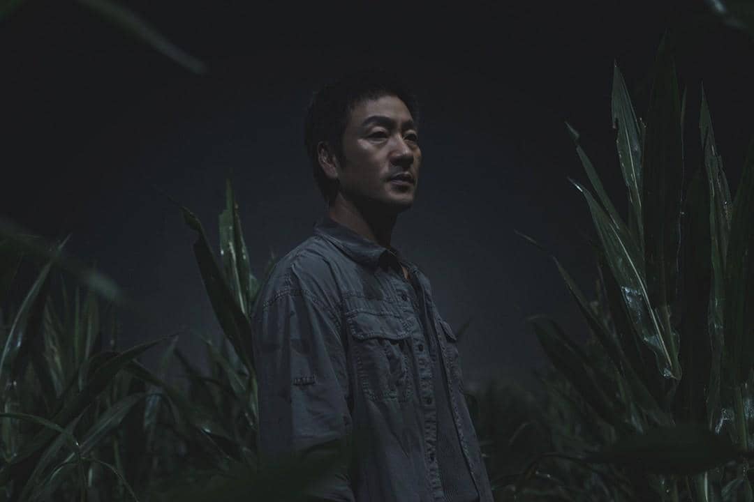 Seorang pria berdiri di tengah ladang jagung pada malam hari dengan pencahayaan redup, mengenakan kemeja abu-abu gelap.