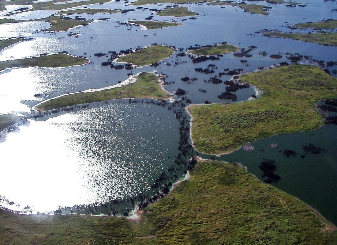 Potret Pantanal
