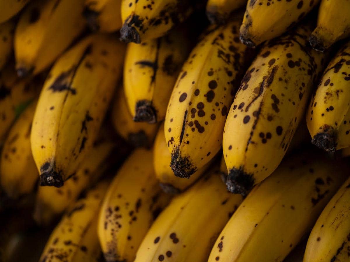 Buah pisang