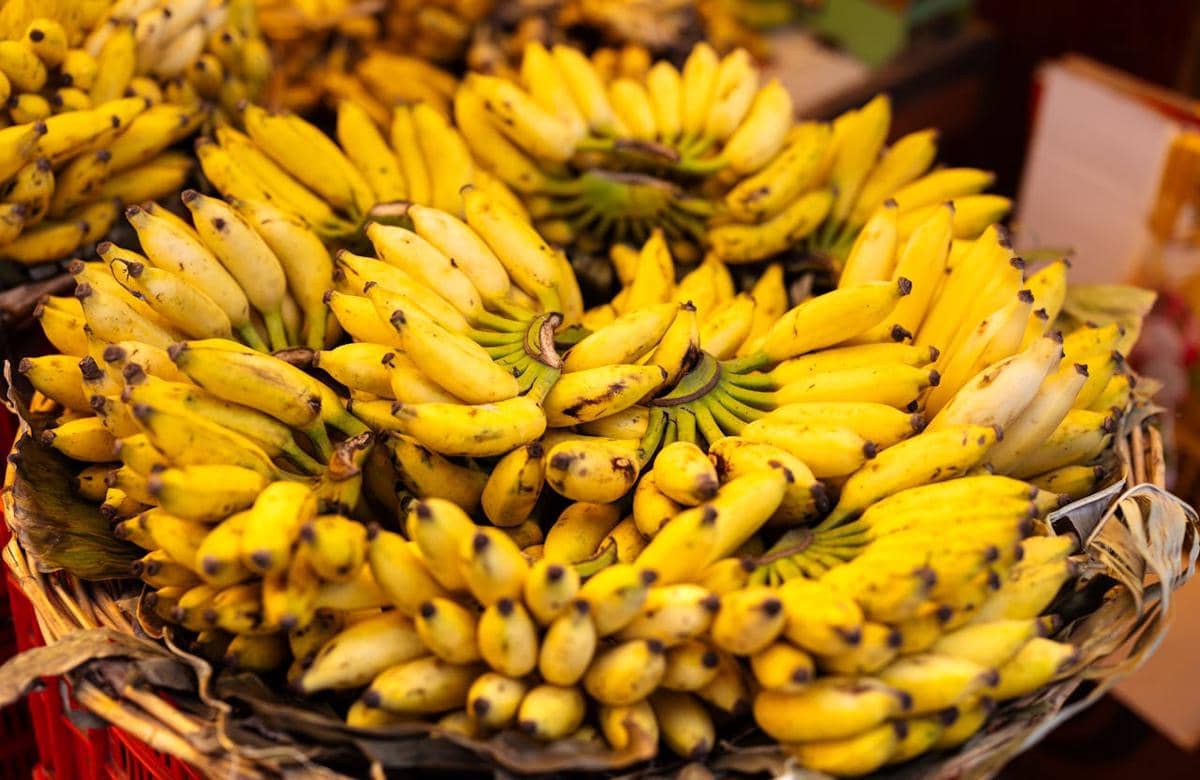 Buah pisang