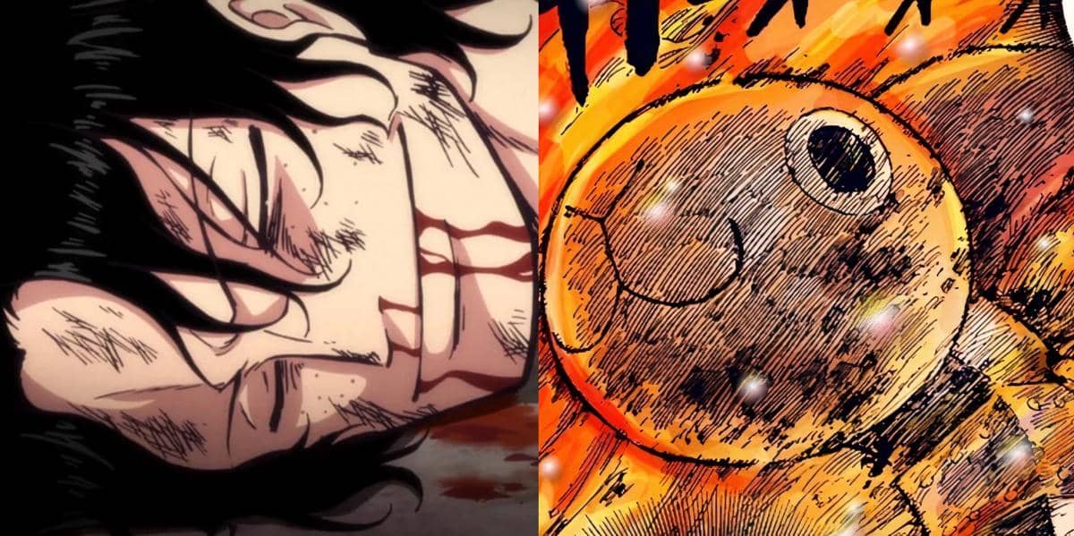 8 Kematian Paling Menyedihkan di One Piece, Menyayat Hati!
