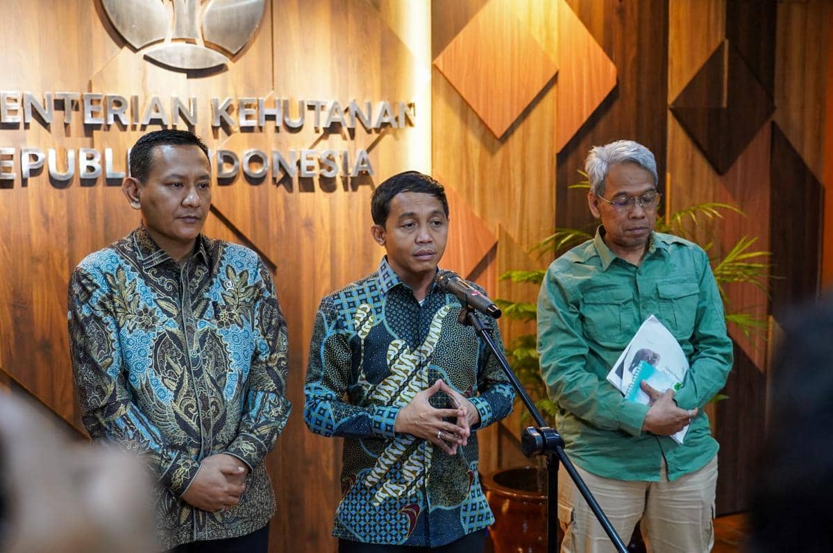 illegal logging