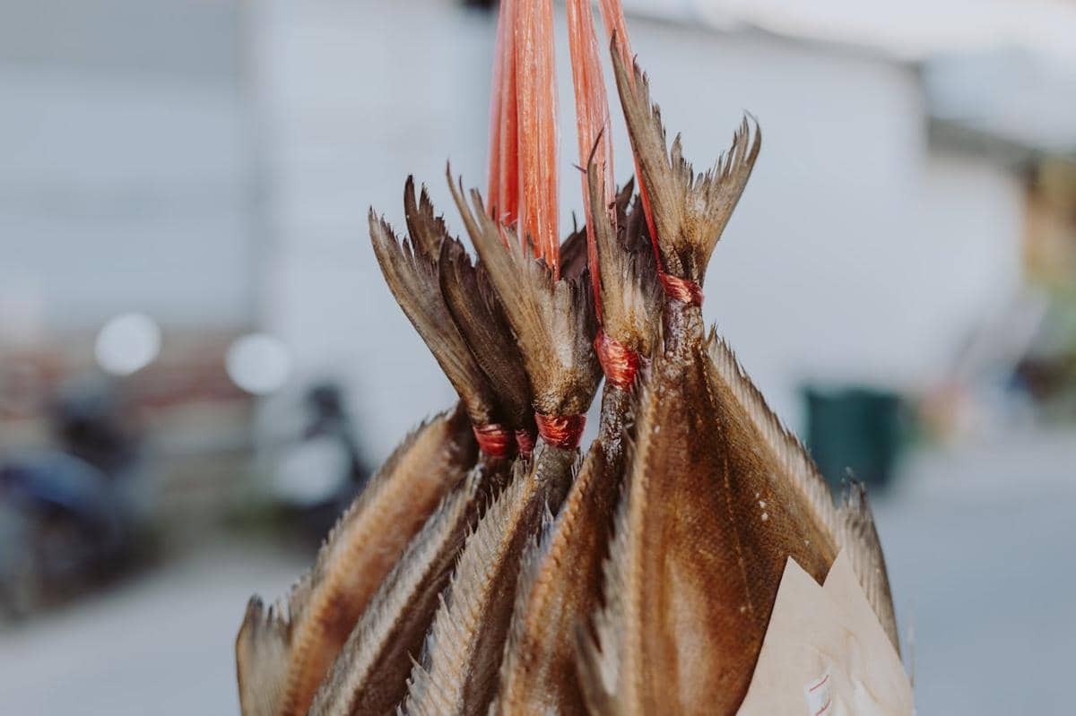 Beberapa ikan asin berwarna cokelat tergantung dengan tali merah di area luar ruangan dengan latar belakang buram.