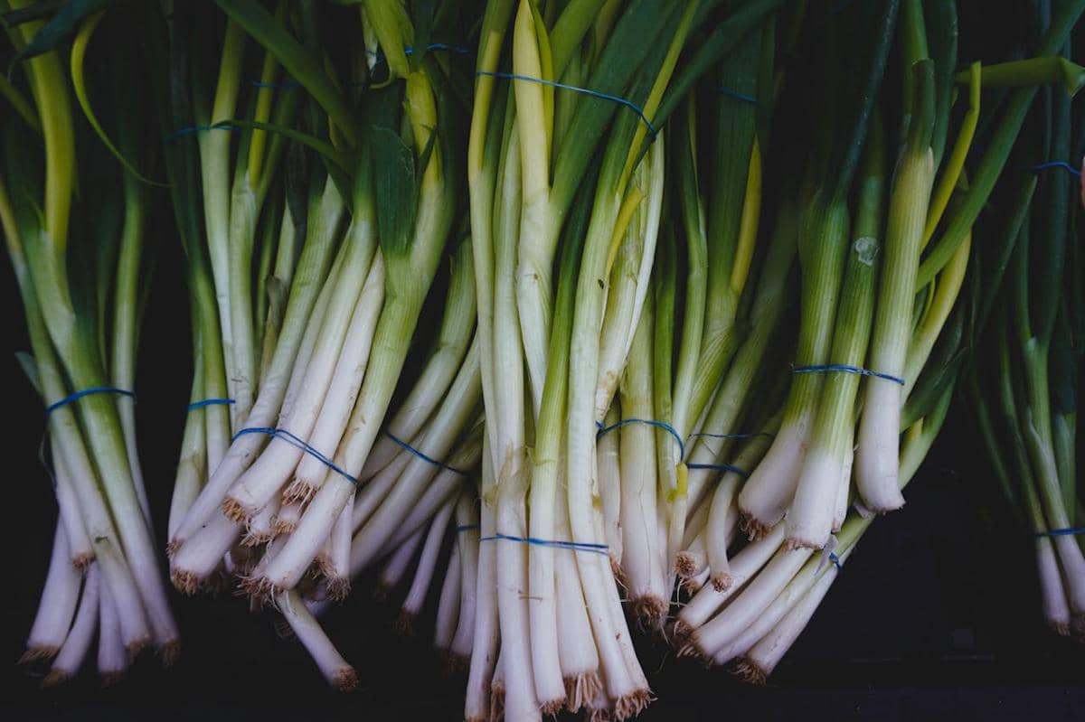 Daun bawang