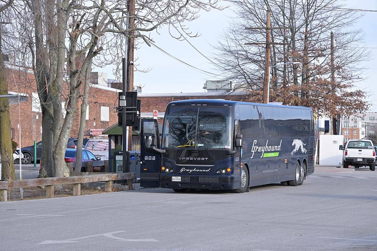 Bus Greyhound 