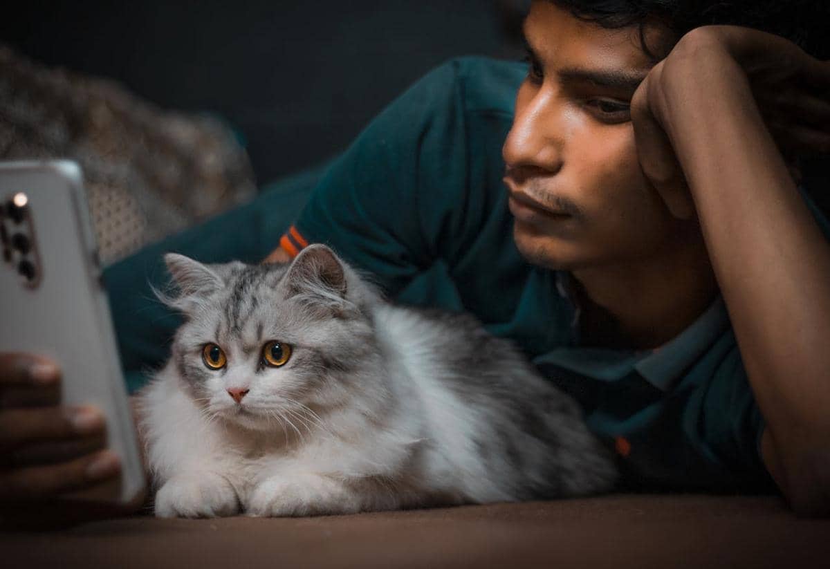 5 Alasan Bermain dengan Kucing Bisa Mengurangi Penat dan Overthinking