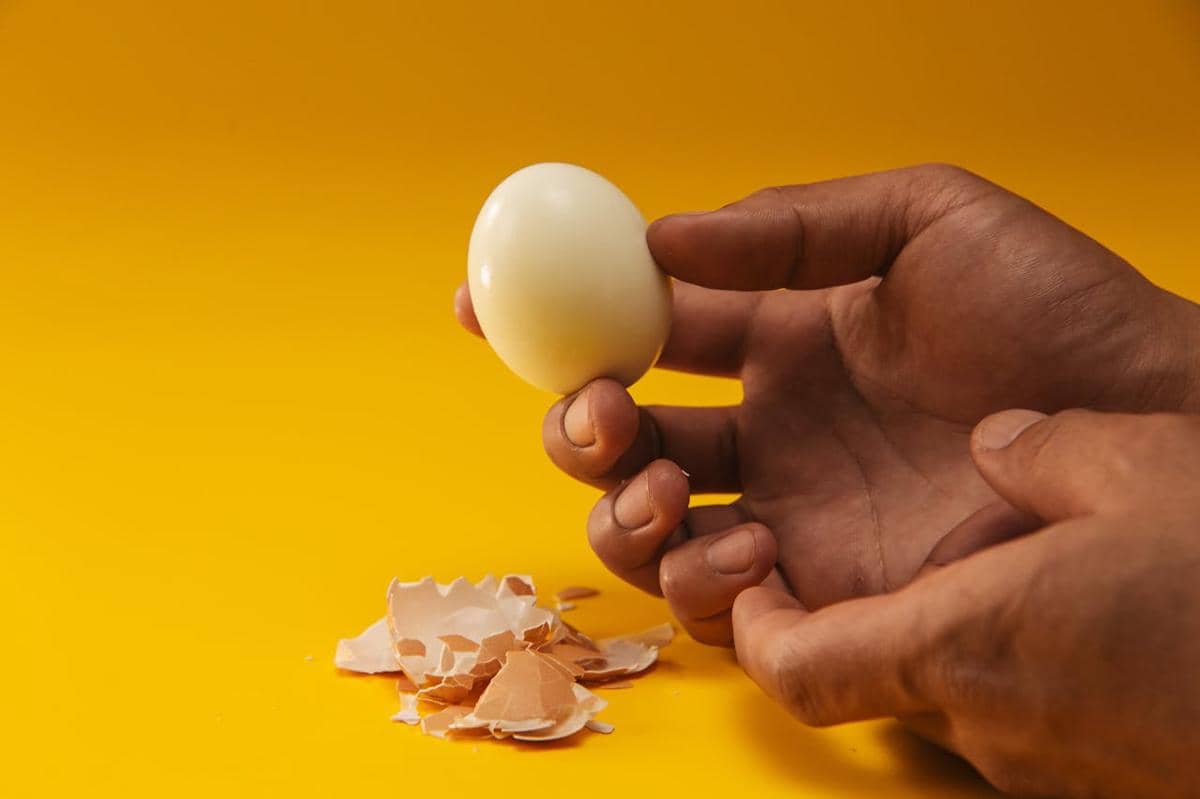 ilustrasi telur rebus
