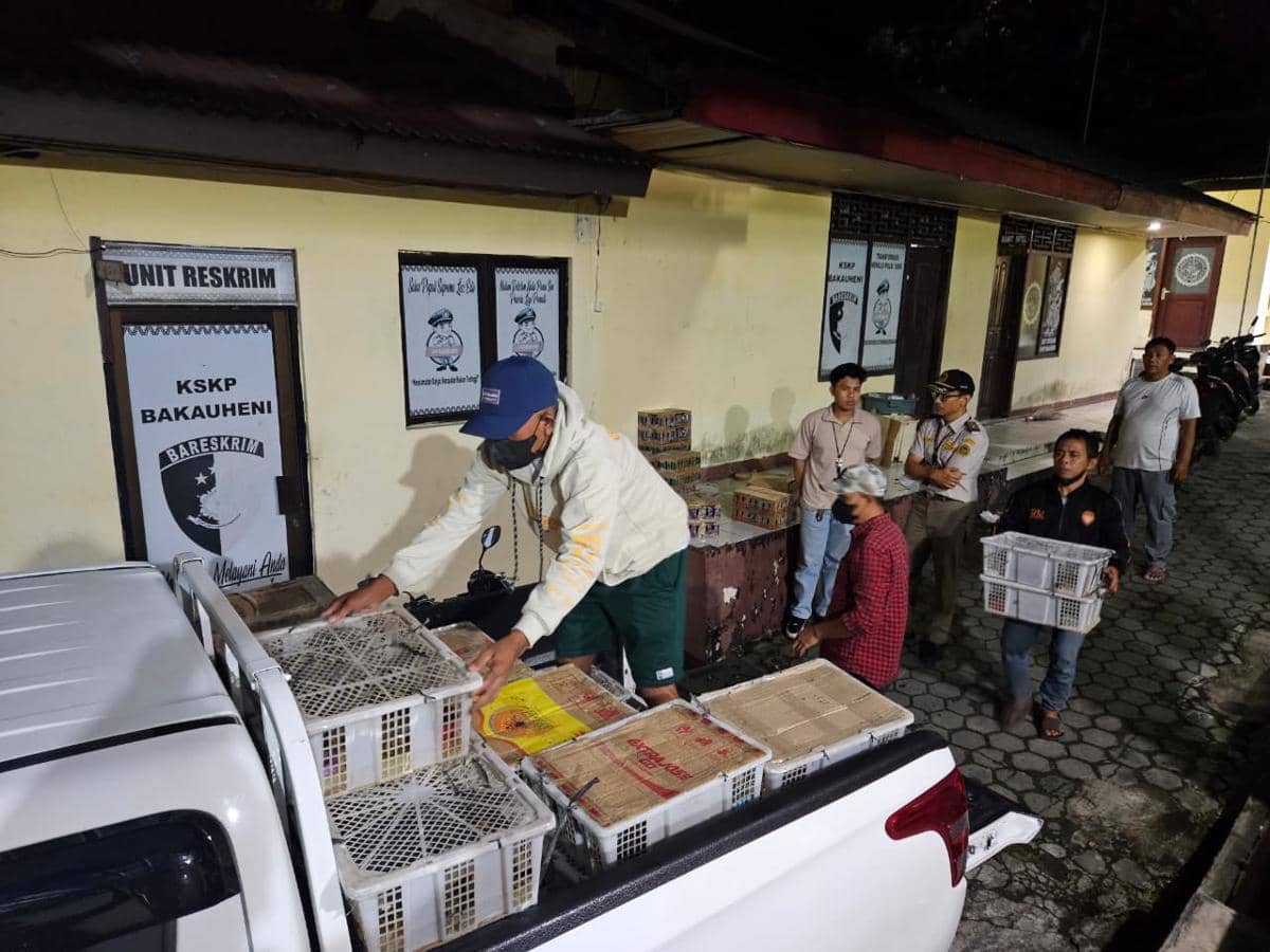 Marak Penyelundupan ke Jawa, Burung Sumatra Krisis Populasi
